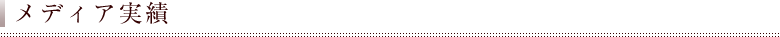メディア実績