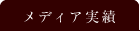 メディア実績